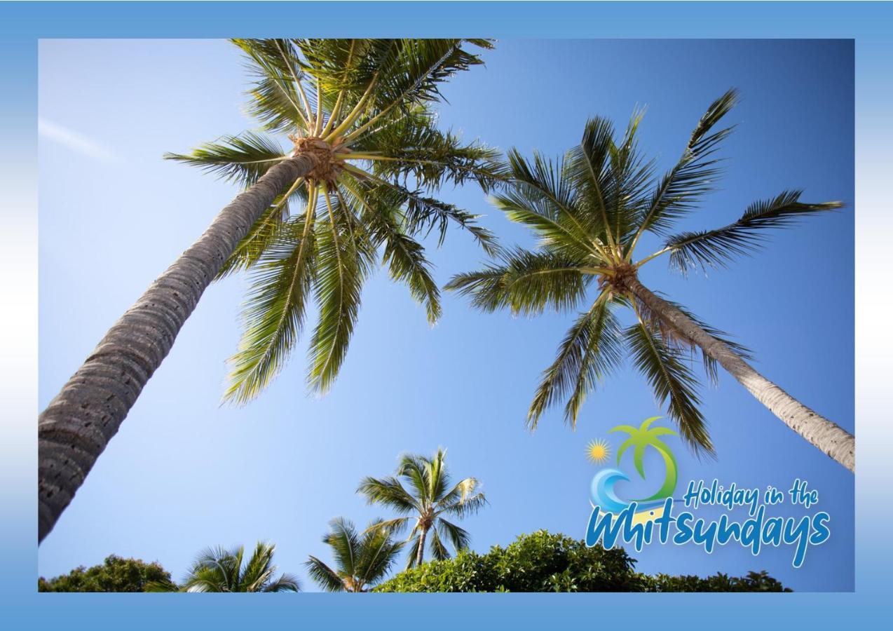 Ocean Views 16 Pool & Spa Wi-Fi Airlie Beach Buitenkant foto